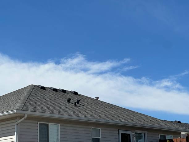 Best Cold Roofs  in Wilson, NC